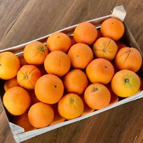 Cassetta Arance di Ribera D.O.P. 10kg